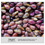 FOLIUS LABS Grape Seed Extract 500mg - 95% OPCs Polyphenols - High