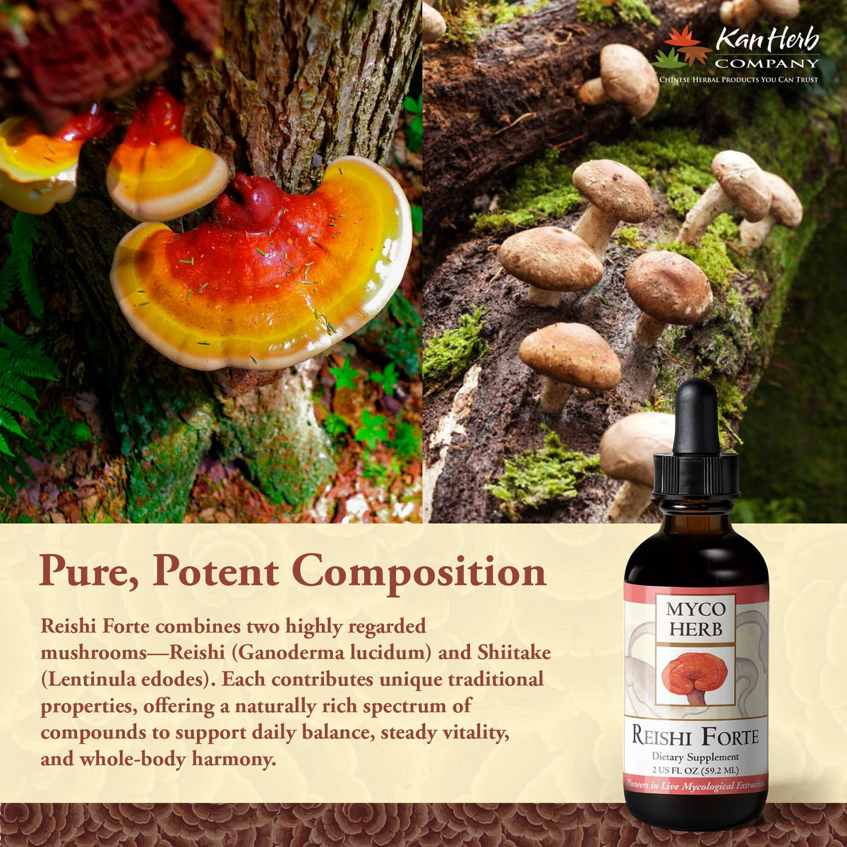 Kan Herbs Reishi Forte Mushroom Blend for Vitality - 120 Tablets - image 4