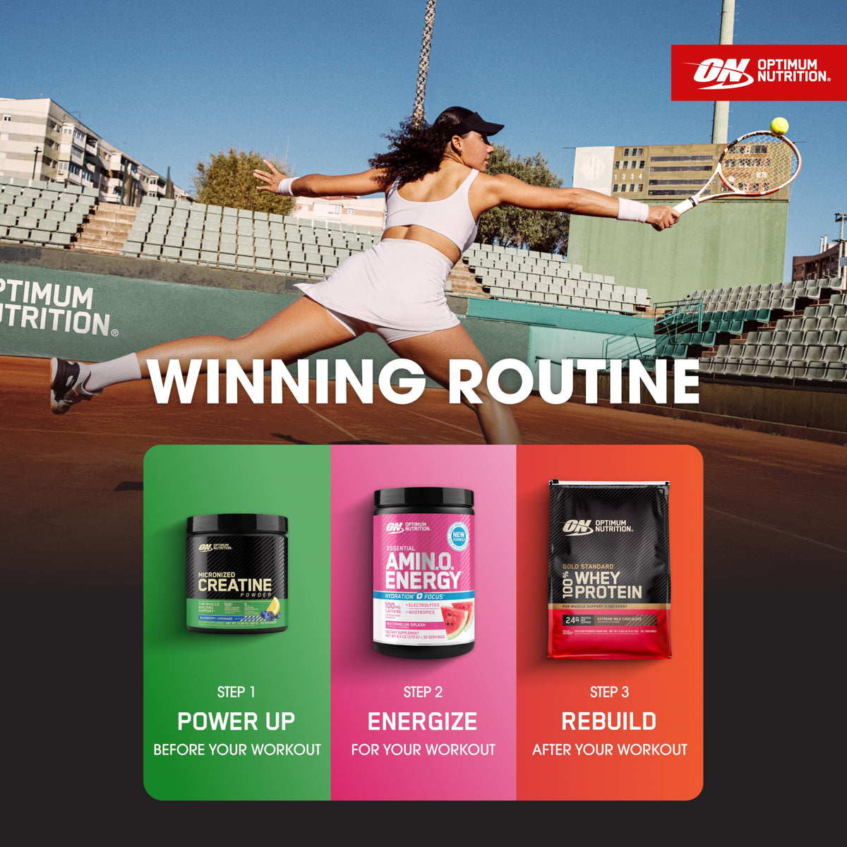 Optimum Nutrition Protein Supplement Powder