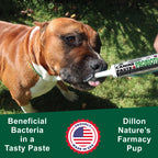 Dogzymes Canine Probiotic Paste with Saccharomyces boulardii - 15g - image 3