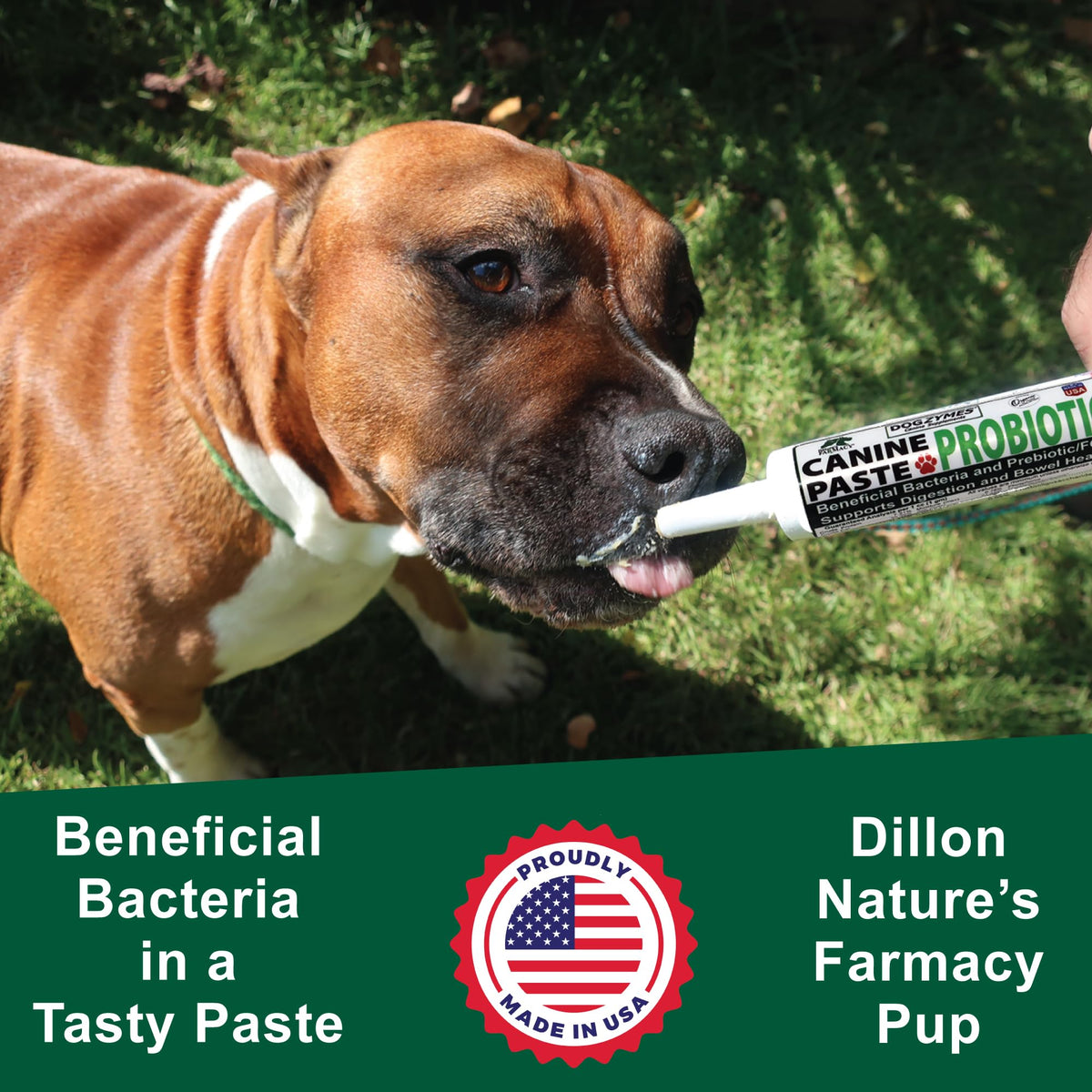 Dogzymes Canine Probiotic Paste with Saccharomyces boulardii - 15g - image 3
