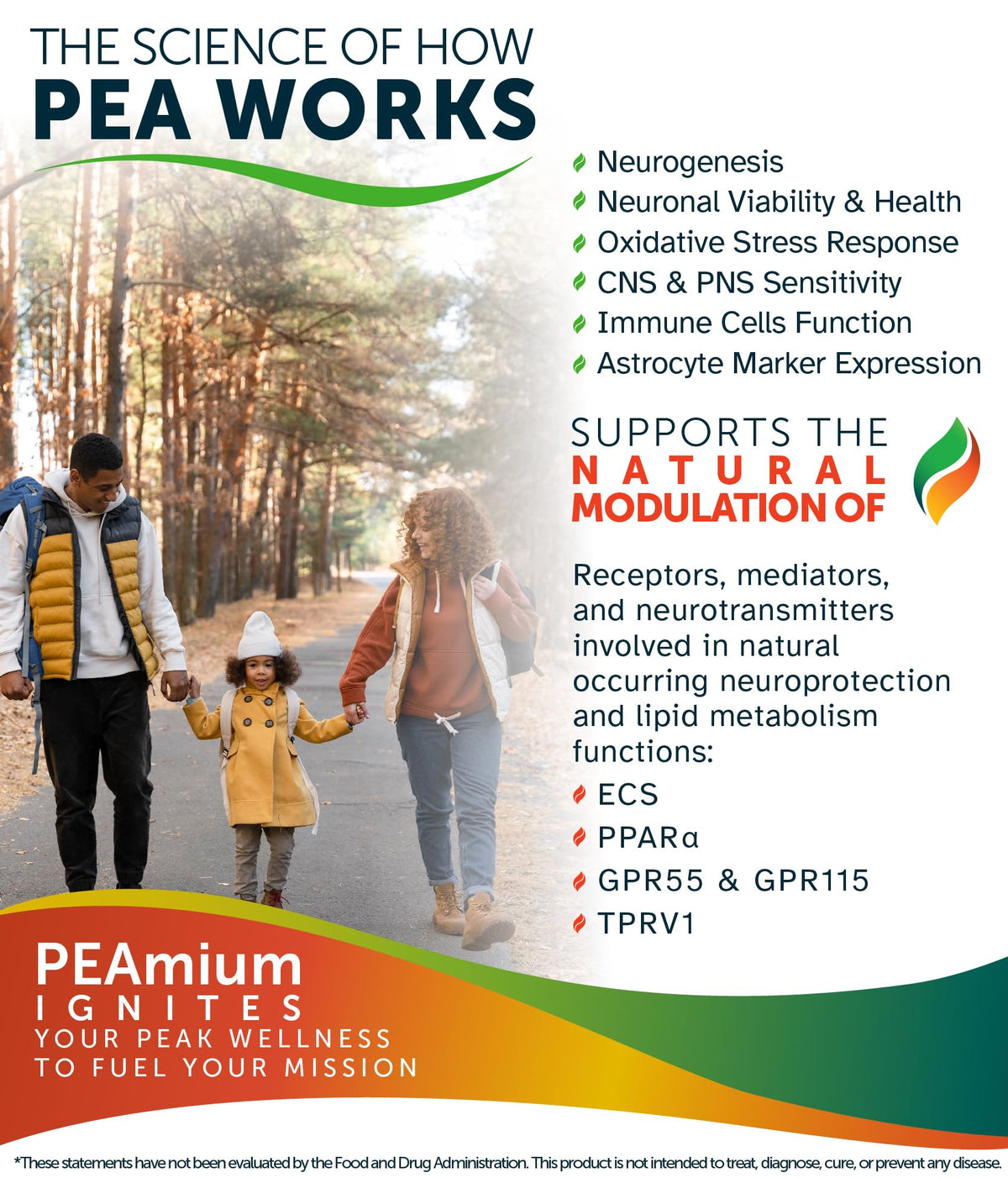 Awakened.energy Palmitoylethanolamide 450mg Capsules - 60 Vegan Capsules - image 5