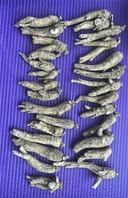 Xi Ge Ge American Ginseng Root from Wisconsin - 1 Pound - image 2