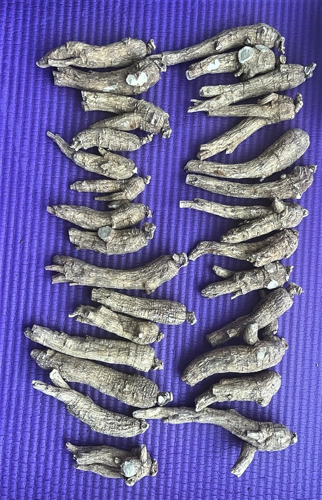 Xi Ge Ge American Ginseng Root from Wisconsin - 1 Pound - image 2