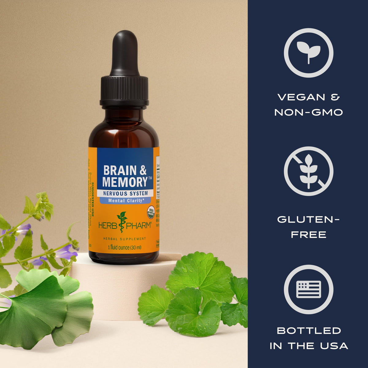 Herb Pharm Brain & Memory Ginkgo Biloba Liquid Extract - 4 oz - image 6