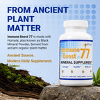 Big Man Morningstar Minerals Immune Boost 77 - 120 Vegetarian Capsules - image 3