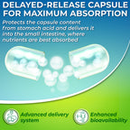 SUPPLEMENTS STUDIO DIM 200mg Hormone Balance - 60 Capsules - image 3