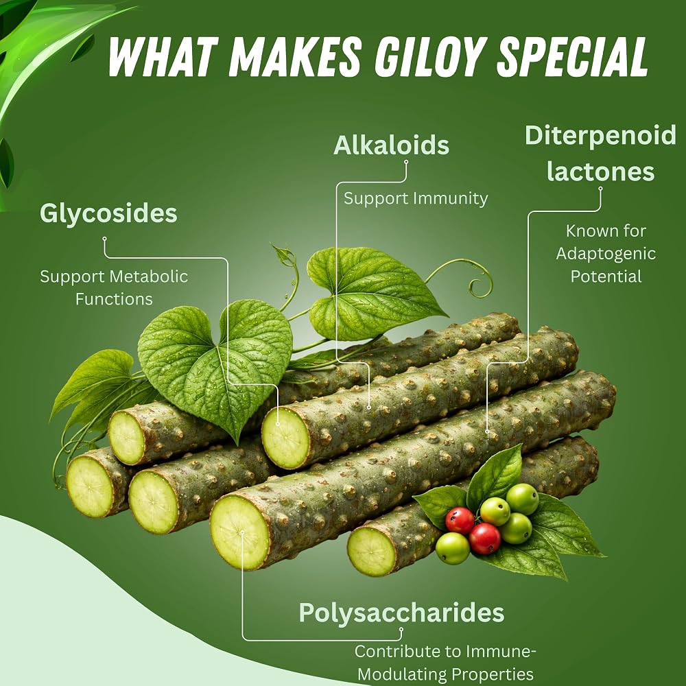 BASIC AYURVEDA Giloy Powder for Immunity & Energy - 200g - image 3