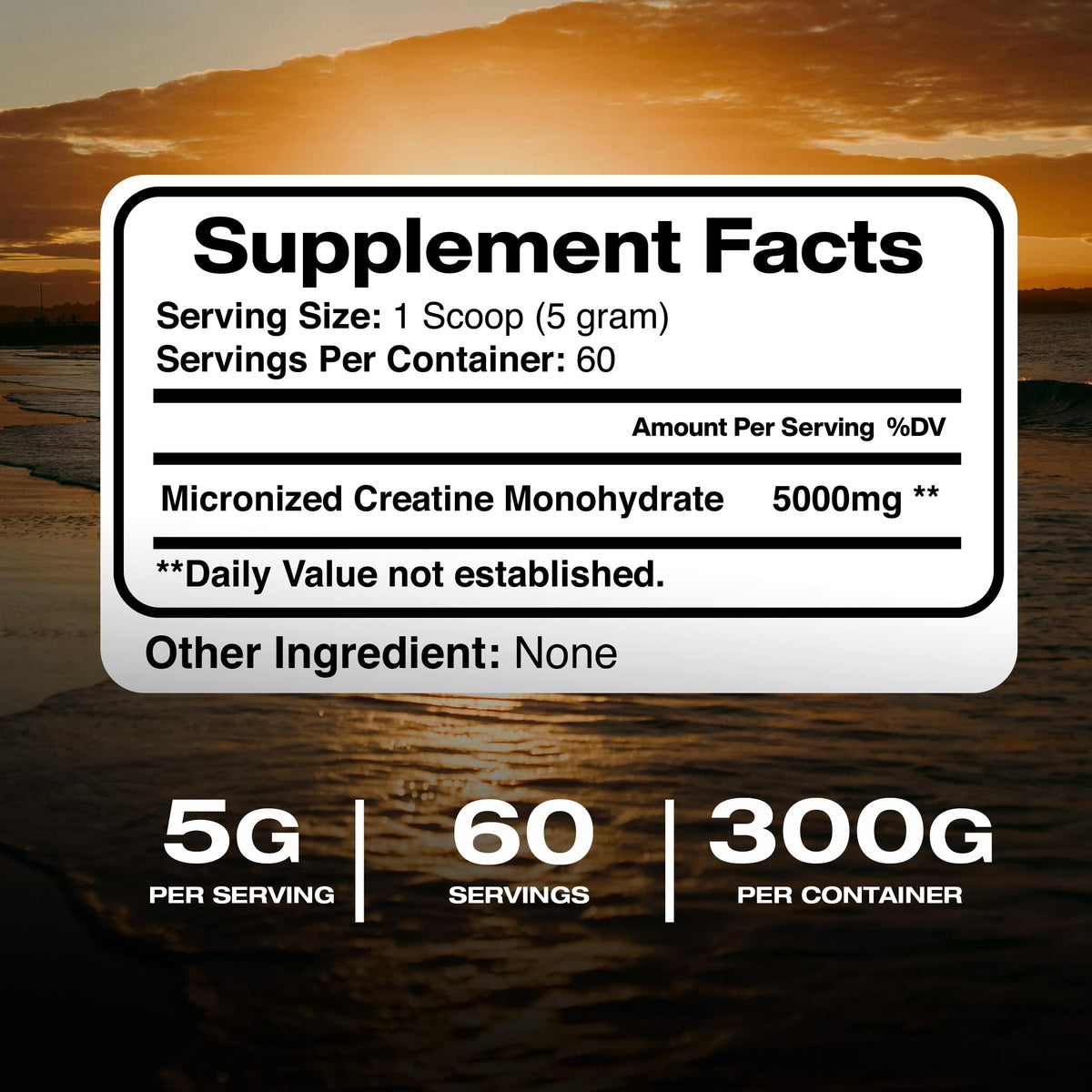 American Standard Supplements Pure Creatine Monohydrate Micronized Powder - 300g - image 2