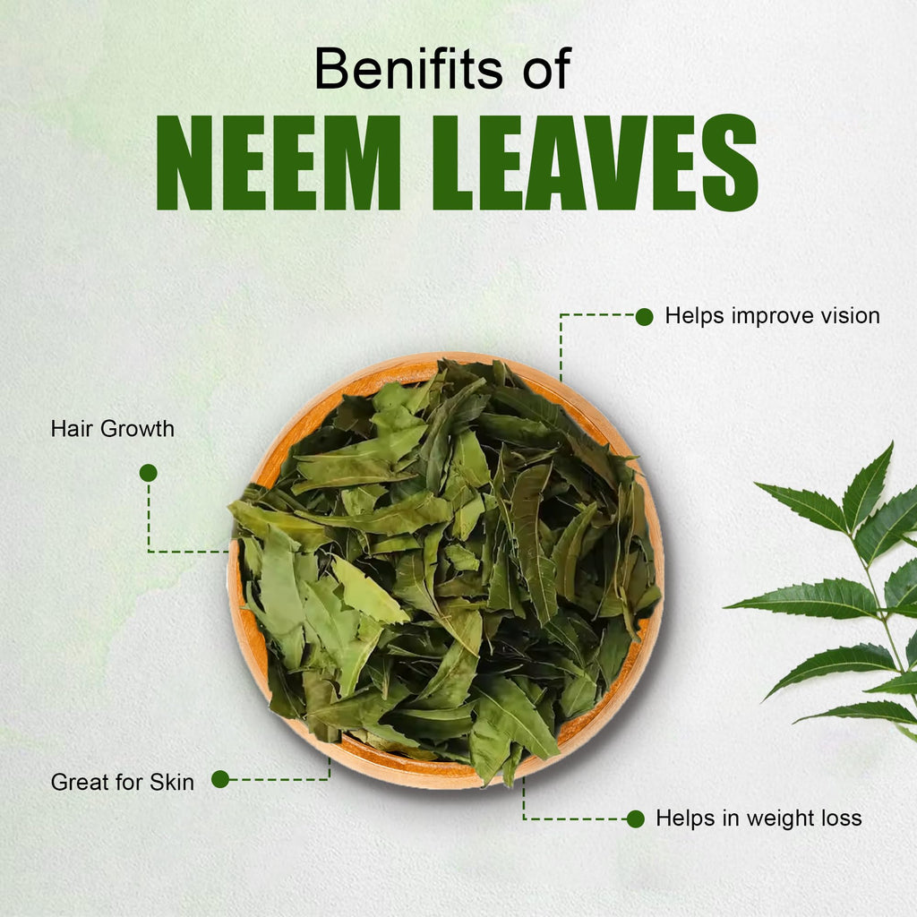 Diyon's Whole Dried Neem Leaves - 10 g - image 4
