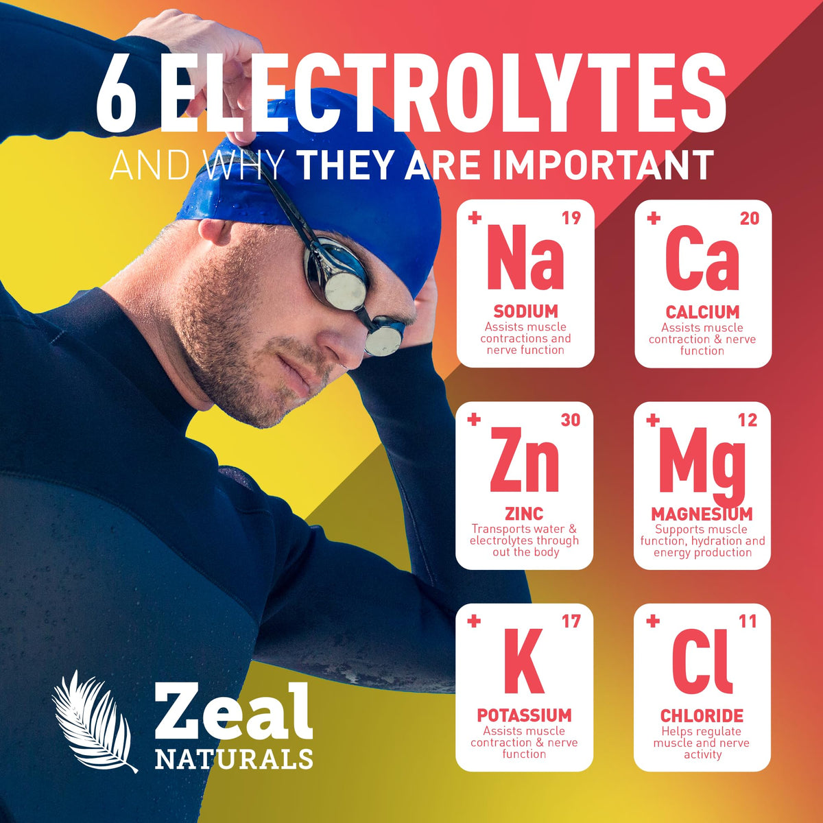 Zeal Naturals Electrolyte Powder - 90 Servings