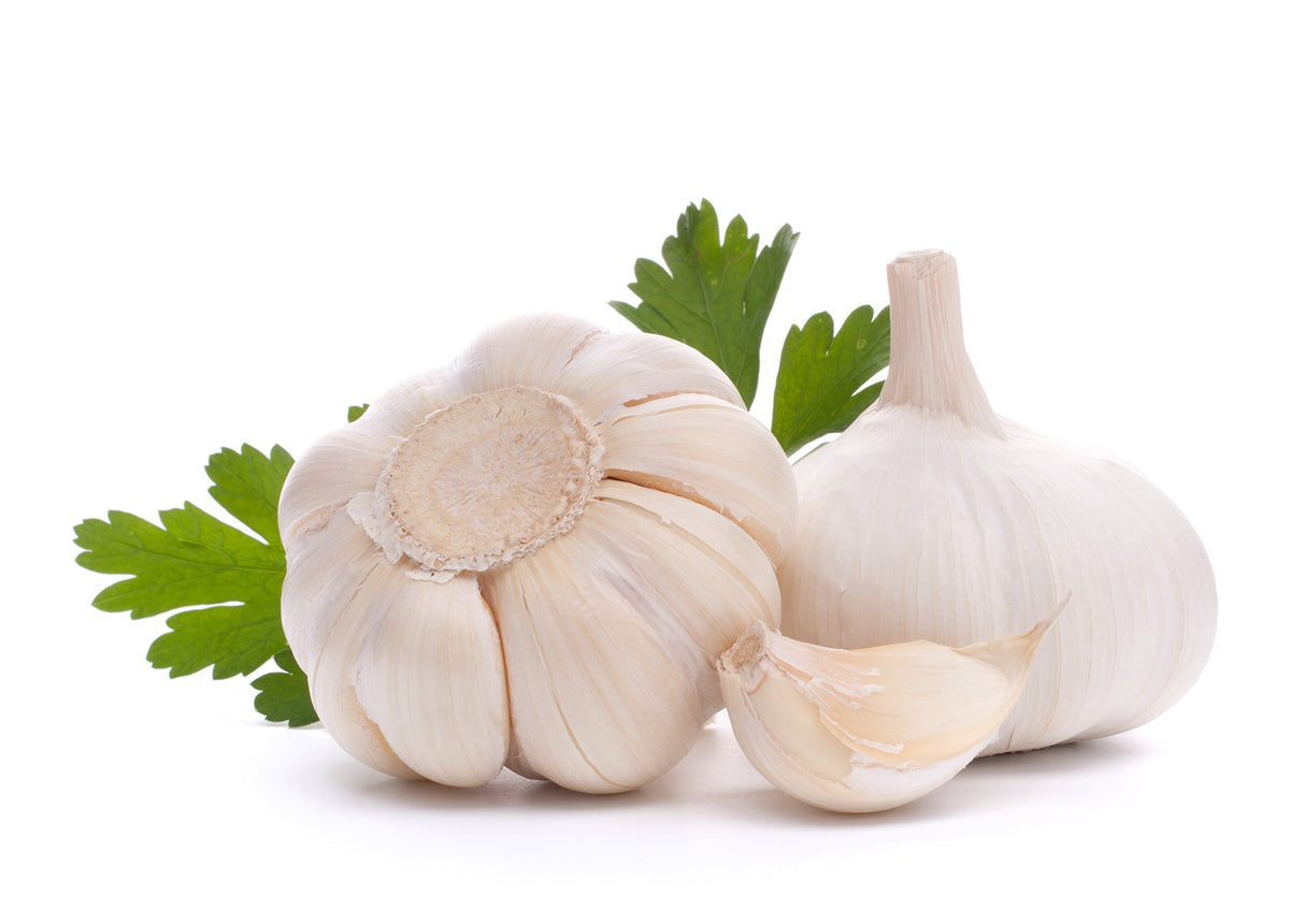 Pure Healthland Odorless Garlic & Parsley Supplement - 100 Softgels - image 3
