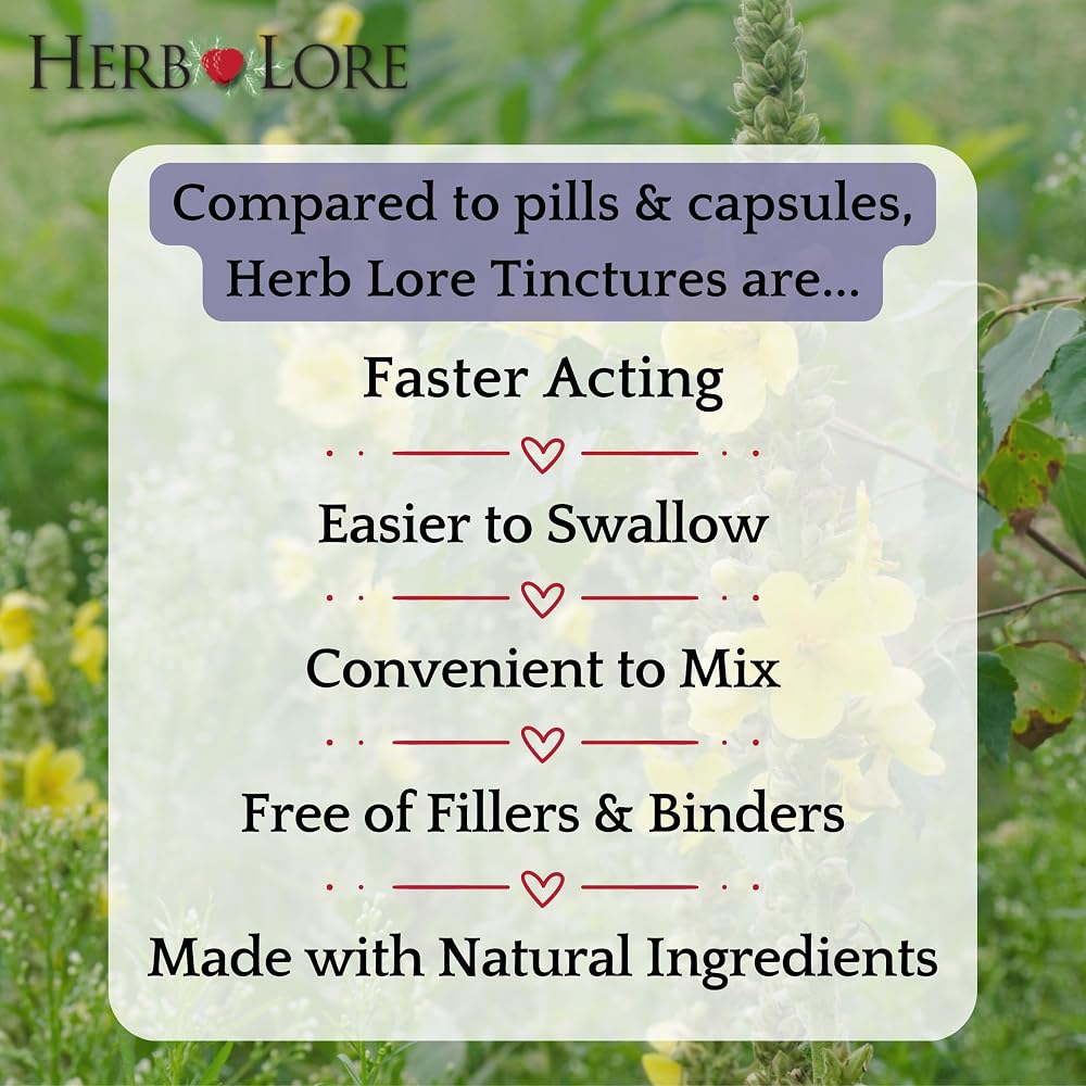 Herb Lore Organic Mullein Tincture - Mullein Drops for Lungs - Liquid