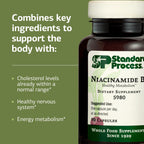 Standard Process Niacinamide B6 Energy Metabolism Support - 90 Capsules - image 4