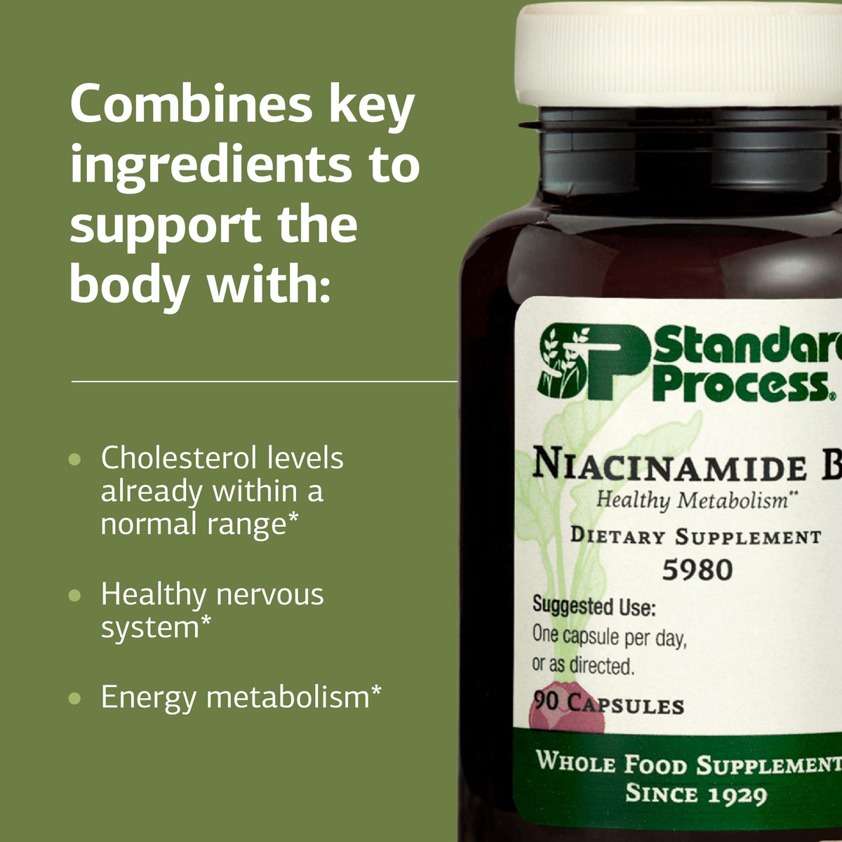 Standard Process Niacinamide B6 Energy Metabolism Support - 90 Capsules - image 4