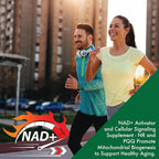 Health Thru Nutrition NAD+ Activator with NR and PQQ - 60 Capsules - image 5