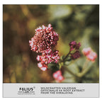 FOLIUS LABS Valerian Root 4:1 Extract Capsules 750mg