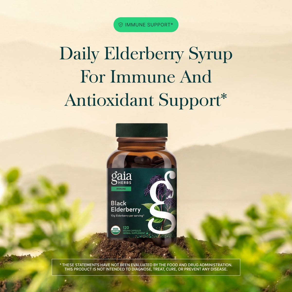 Gaia Herbs Black Elderberry Immune Support - 120 Capsules - image 3
