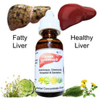 Generic Liver Support Cleanse Herbal Concentrate Drops - 1 Fl Oz - image 2