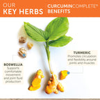 Himalaya Curcumin Complete Joint Support Supplement