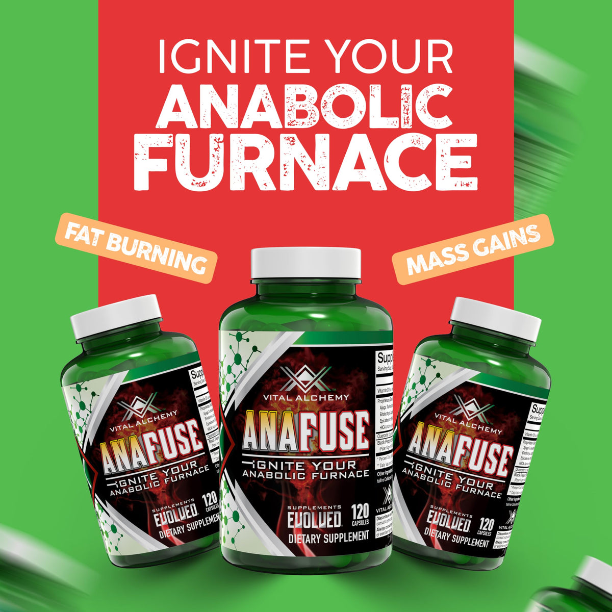 Vital Alchemy Anafuse Turkesterone Supplement - 120 Vegan Capsules - image 4