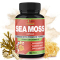 Organic Cadane Irish Sea Moss Extract Capsules - 90 Vegetarian Capsules