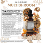 Clean Nutraceuticals Mushroom Supplement Liquid Drops - 2 Fl Oz - image 5