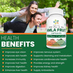 Organic Aura International Amla Capsules 1000mg - 120 Vegetarian Capsules - image 4