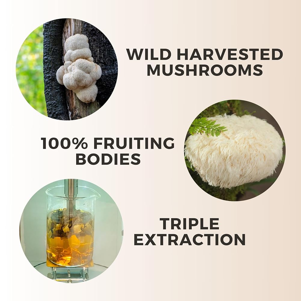 Manuka Mana Lion's Mane Think Honey Tincture - 2 fl oz - image 8