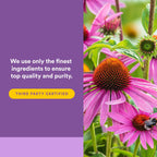 Natural Factors Anti-V Echinacea Liquid Formula - 3.4 fl oz - image 5