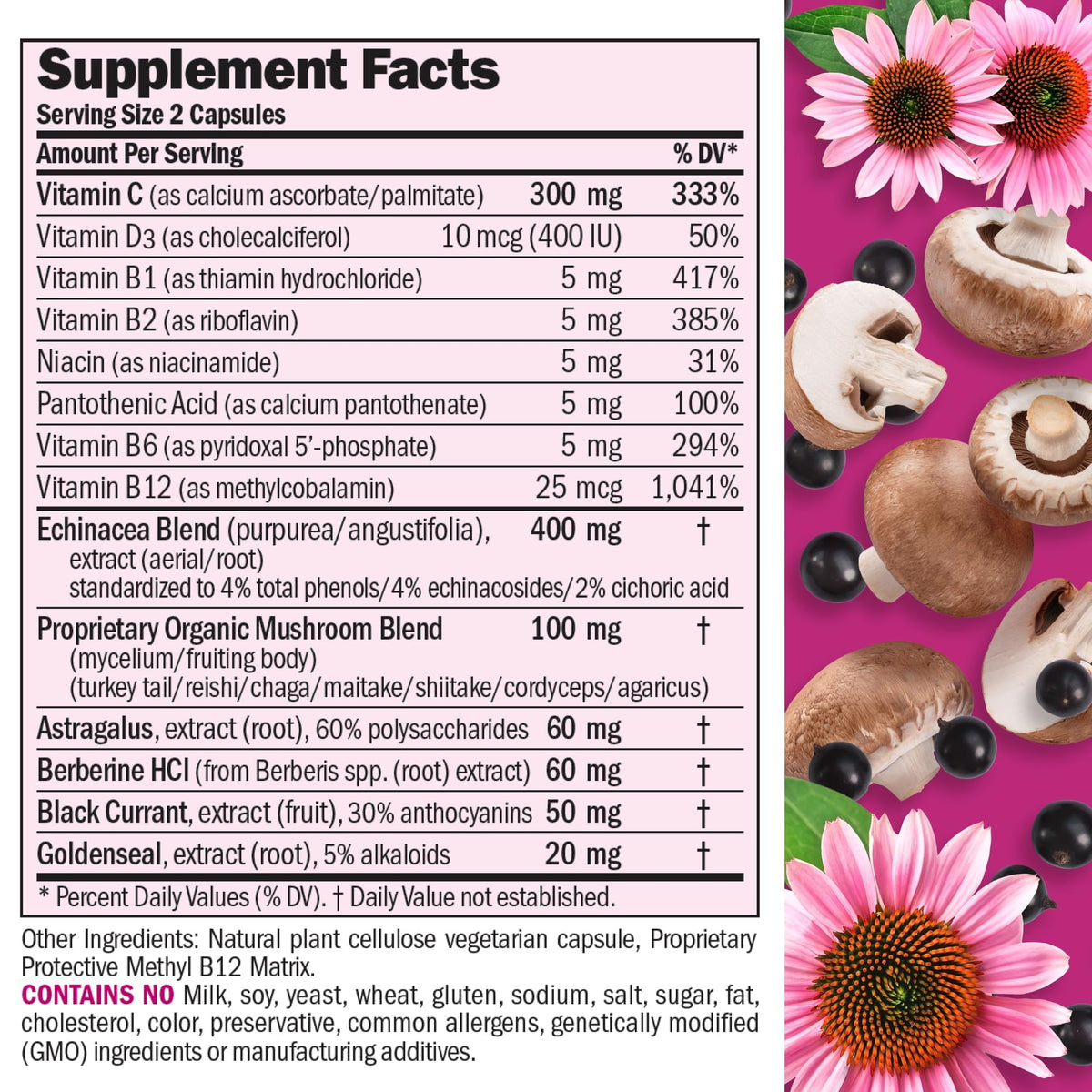 ANDREW LESSMAN Immune Factors Capsules - Echinacea