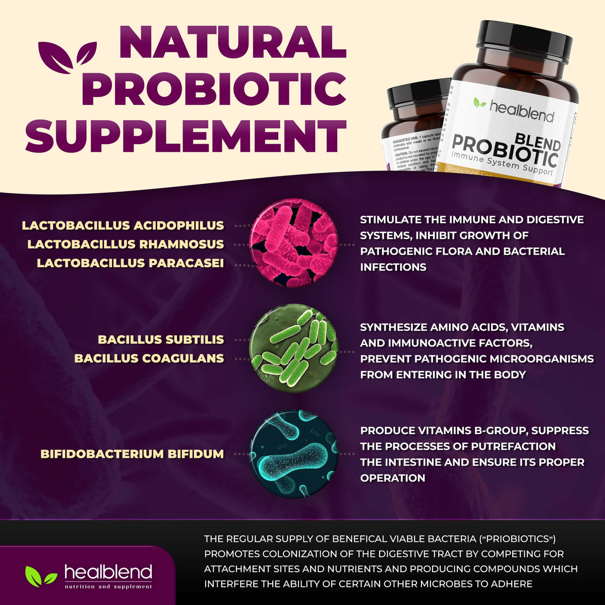 healblend Probiotic Caps Digestive Health & Immune Support - image 7