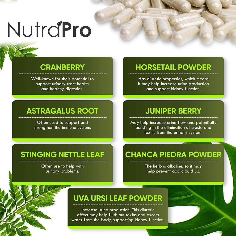 NutraPro Kidney Cleanse Detox & Repair Supplement - 60 Capsules - image 4