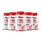 Vitamin Evo Vital Surge MAX Gummies for Energy - 300 Count