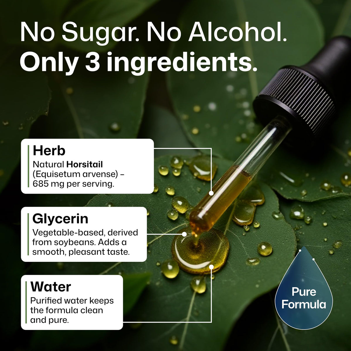 BIO KRAUTER Horsetail Supplement for Hair, Skin & Nails - 4 Fl Oz - image 5
