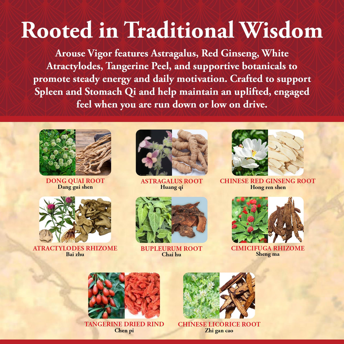 Kan Herb Arouse Vigor Traditional Herbal Formula - 120 Tablets - image 4