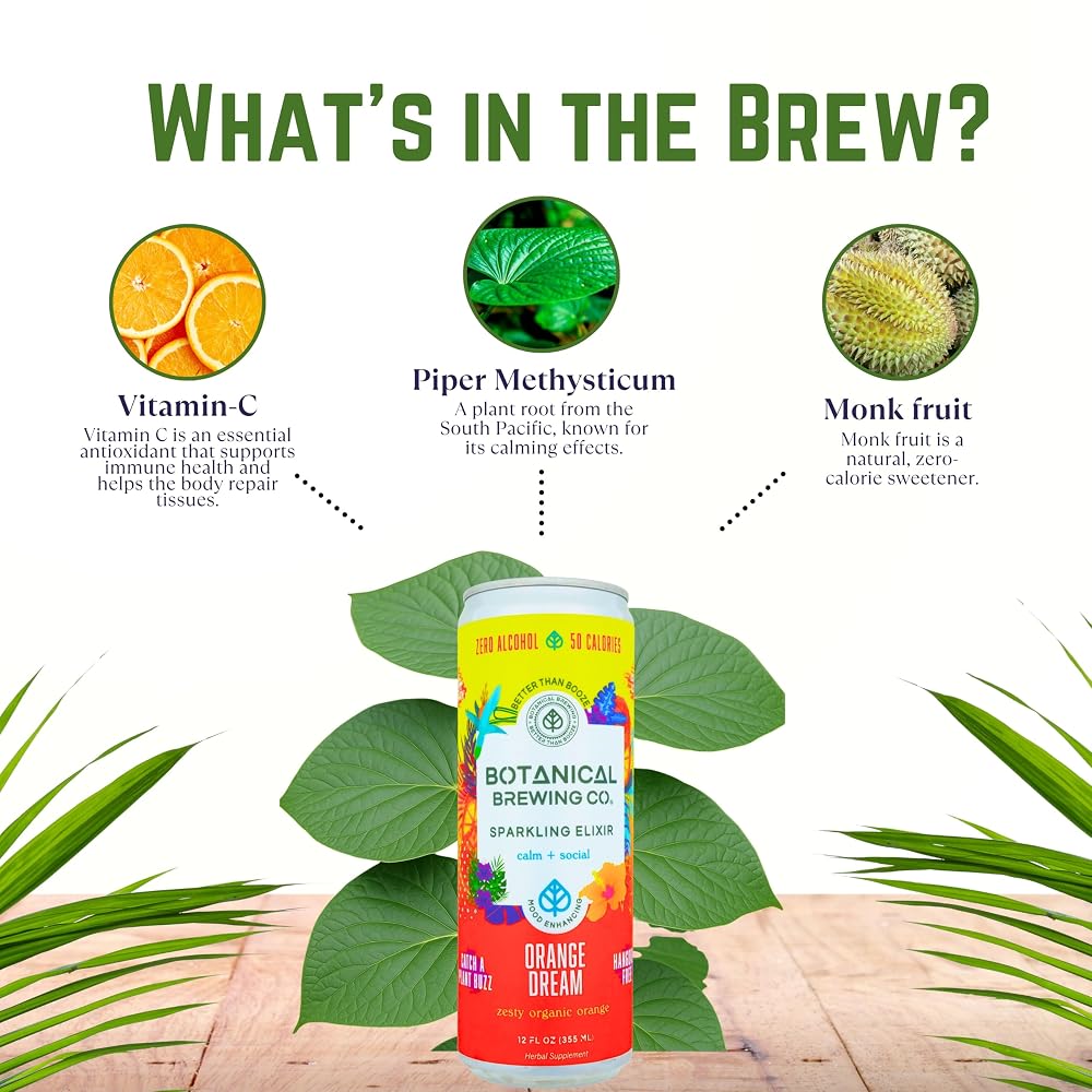Botanical Brewing Orange Dream Kava Seltzer - 4 Pack - image 5
