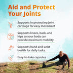 Zenith Labs Joint N-11 Joint Health Supplement - 60 Capsules - image 4