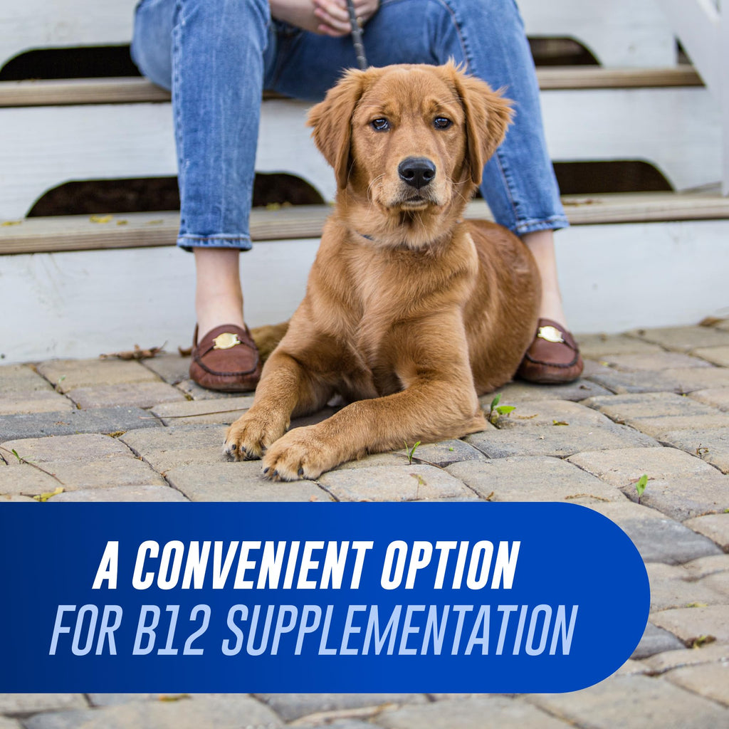 Nutramax Cobalequin Vitamin B12 for Dogs Over 21lbs - 45 Tablets - image 3