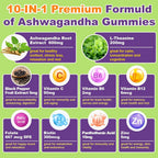 Mezqai Ashwagandha 10-in-1 Gummies for Stress Support - 60 Count - image 6