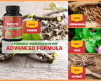 Cona Nature Giloy Guduchi Extract with Ashwagandha - 60 Vegetarian Capsules - image 2