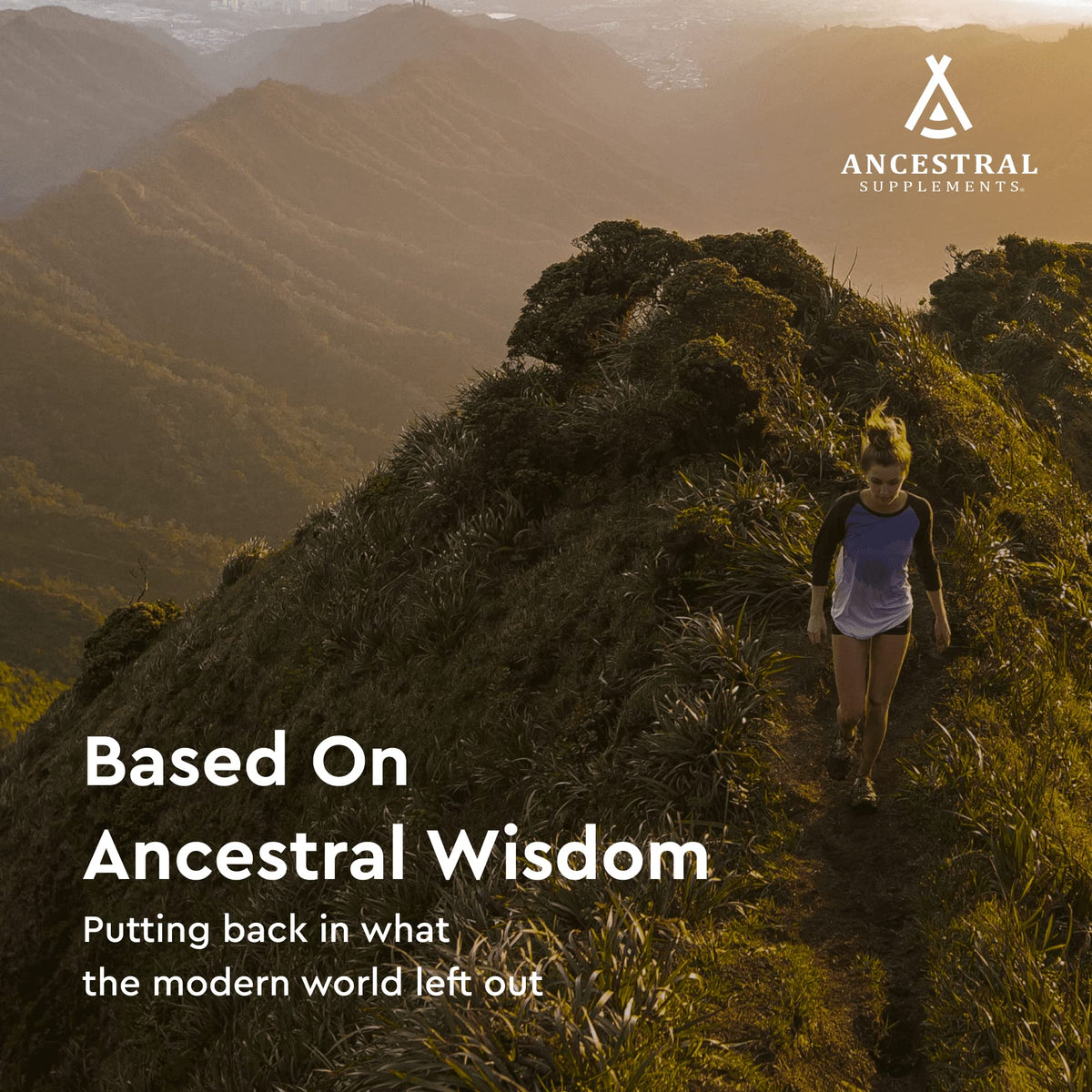 Ancestral Supplements Gut Health