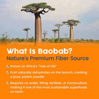 NativePath Baobab Prebiotic Fiber Orange Sugar-Free - 30 Servings - image 3