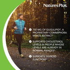 NaturesPlus Herbal Actives Gugulipid - 30 Extended-Release Tablets - image 3