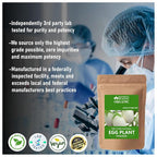 Blessfull Healing Organic Eggplant Powder - 100 Gram - image 3