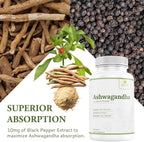 Zenith Vitality Ashwagandha 1300mg Stress Relief - 60 Capsules - image 3
