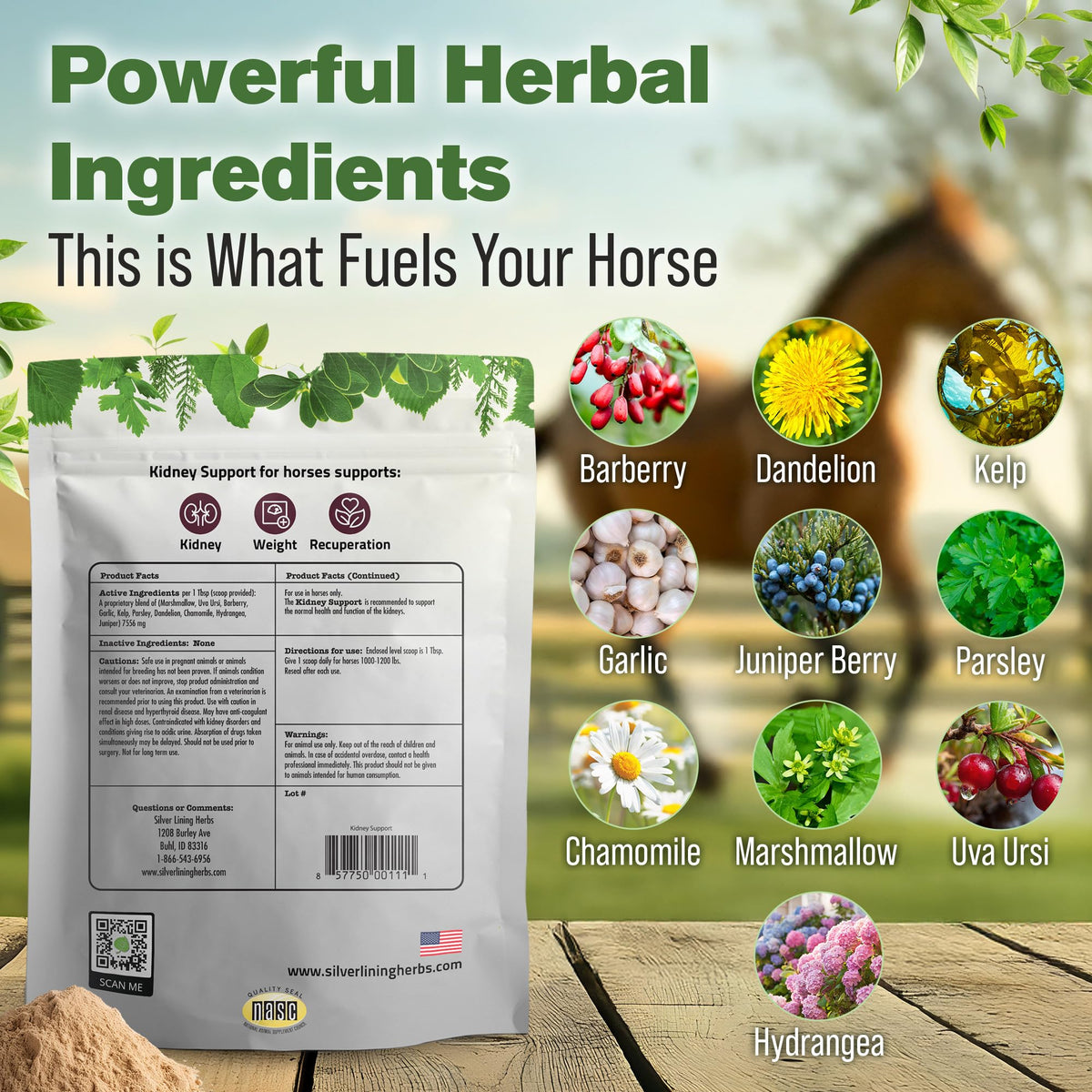 Silver Lining Herbs Kidney Support Supplement for Horses - 1 lb - image 3