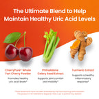 Nutriana Uric Acid Flush Tart Cherry, Turmeric & Celery Seed - 60 Capsules - image 4