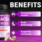 CIVIMUNA Echinacea Capsules with Goldenseal & Elderberry - 120 Capsules - image 5