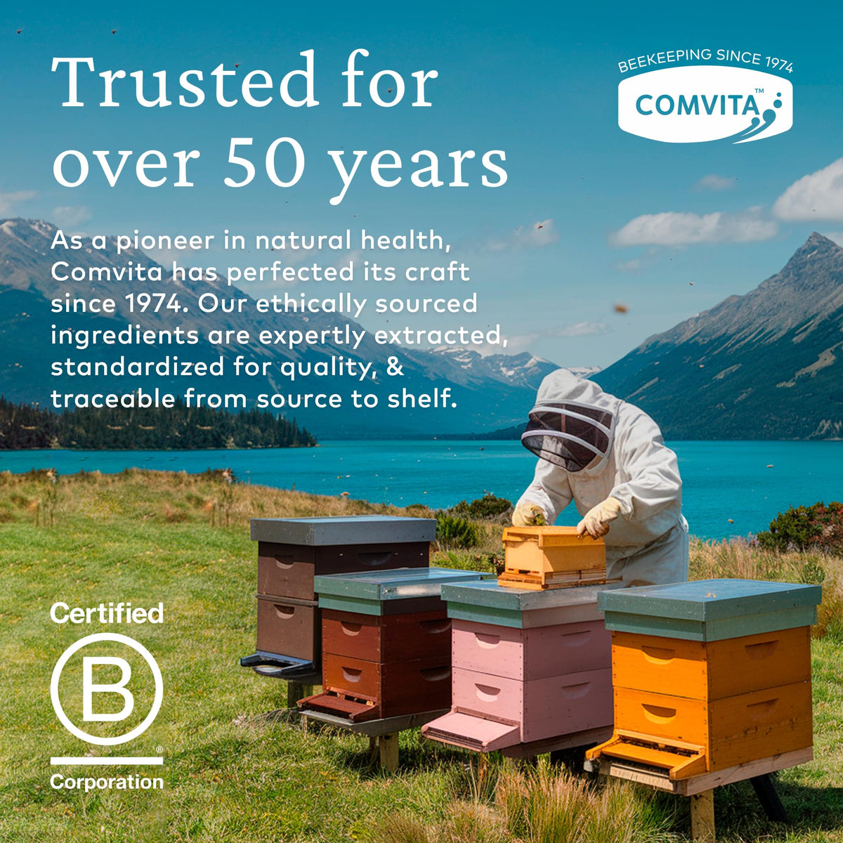 Comvita Extra Strength Bee Propolis Extract Immune Support - 0.8 fl oz - image 6